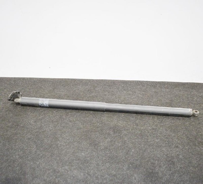 Amortizor haion dreapta TESLA MODEL X 2018 OEM: 1129698-00-A,1046610-00-A 10038552