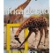 Roberta Cosi - Africa de Sud (Editia: 2010)