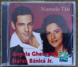 Stefan Bănică jr și Angela Gheorghiu, cd cu muzică sigilat, Pop