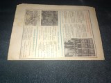 REVISTA RADIO TV 17 23 IANUARIE 1982