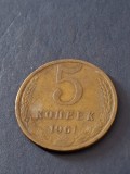5 copeici 1961