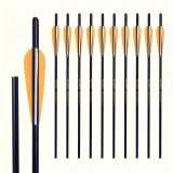 Săgeți arbaletă sau arc de 16,20,22,30 inch din microcarbon,noi