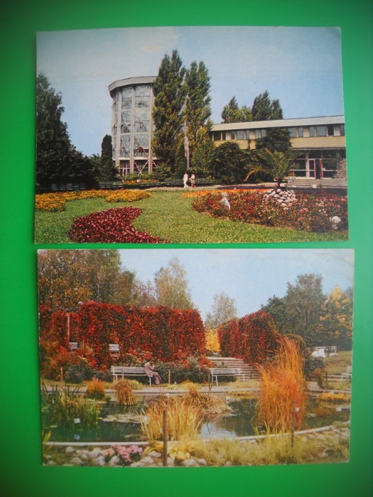 HOPCT LOT 2979 GRADINA BOTANICA -IASI-2 CARTI POSTALE-NECIRCULATE