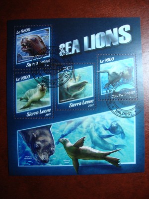 SIERRA LEONE BLOC PESTI foto