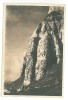 4545 - BUCEGI, Mountain - old postcard - used - 1951, Circulata, Printata