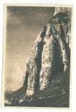 4545 - BUCEGI, Mountain - old postcard - used - 1951, Circulata, Printata