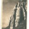 4545 - BUCEGI, Mountain - old postcard - used - 1951