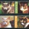 CIPRU 2002 FAUNA PISICI