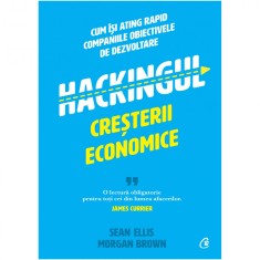 Hackingul cresterii economice. Cum isi ating rapid companiile obiectivele de dezvoltare, Sean Ellis, Morgan Brown