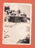 AMS @ - LOT DE 2 FOTO, ACTUALA CABANA RARAU, FOSTUL HOTEL ALPIN RARAU, perioada anilor 60