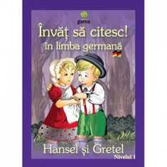 Hansel si Gretel - ISCG.II