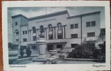 Carte postala Primaria Satu Mare, perioada interbelica