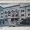 Carte postala Primaria Satu Mare, perioada interbelica
