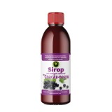 Sirop Coacaz Negru cu Zahar 500 mililitri Hypericum, Hypericum Plant