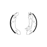 Set saboti frana Delphi LS1841, parte montare : Punte Spate