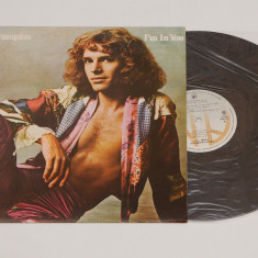 Peter Frampton - I'm In You - disc vinil ( vinyl , LP )