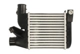 Radiator intercooler BMW 5 (E39) (1995 - 2003) THERMOTEC DAB021TT