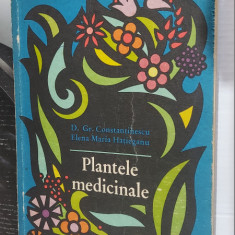 PLANTELE MEDICINALE - ELENA MARIA HATIEGANU -