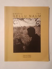 Iulian Tănase (coord.) - Pentru Gellu Naum. For Gellu Naum