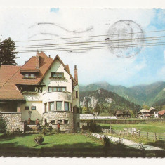 Carte Postala veche Romania - Sinaia - Vedere , circulata 1975