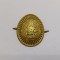 Emblema coifura/Insigna/Cuc cascheta-SOLDAT-RSR