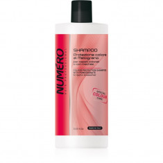 Brelil Professional Colour Protection Shampoo șampon pentru păr vopsit 1000 ml