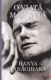 Hanya Yanagihara - O viata marunta