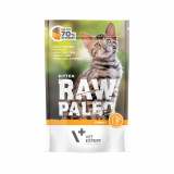 Hrana umeda pentru pisici, RAW PALEO KITTEN, carne de curcan, 100 g AnimaPet MegaFood