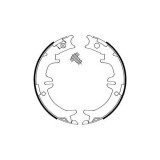 Set saboti frana mana Delphi LS1892, parte montare : Punte Spate