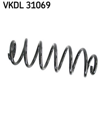SKF VKDL 31069 Arc spiral