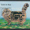 Sahara 1999 - MNH, nestampilat - Pisici, animale, fauna