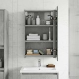 vidaXL Dulap cu oglindă pentru baie Gri din beton 30 x 10,5 x 50 cm 889010