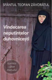 Vindecarea neputintelor duhovnicesti - Teofan Zavoratul - Supergraph