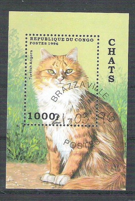 Congo 1996 Cats, perf. sheet, used AB.082