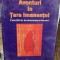 Aventuri in Tara Imanentei - Mihai Dascal