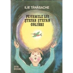 Pe urmele lui Stefan Stefan Colibri - Ilie Tanasache
