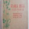 Flora mica ilustrata a Republicii Populare Romane &ndash; I. Prodan, Al. Buia