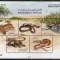 EMIRATELE ARABE UNITE 2012 FAUNA REPTILE SERPI