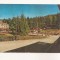 RF146 - Carte Postala - Sovata, circulata 1965