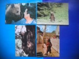 HOPCT LOT NR 1017 URS / URSI -FAUNA -4 CARTI POSTALE-NECIRCULATE, Circulata, Printata