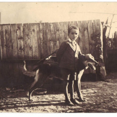 foto copil cu caine catel hartie Agfa Brovira 15 aug 1935 23,5x18 cm