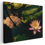 Tablou floare de lotus roz Tablou canvas pe panza CU RAMA 80x120 cm