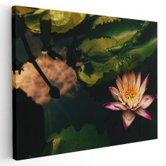 Tablou floare de lotus roz Tablou canvas pe panza CU RAMA 40x60 cm