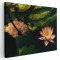 Tablou floare de lotus roz Tablou canvas pe panza CU RAMA 30x40 cm