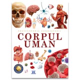 Enciclopedia cunoasterii: Corpul uman