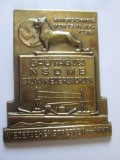 Cumpara ieftin Insignă militară mare Germania nazistă 1938:Braunschweig-NSDMB,dim.=57 x 47 mm, Europa