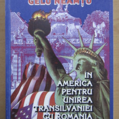 Gelu Neamtu - In America pentru unirea Transilvaniei cu Romania