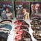 Prison Break 2005 2009 5 sezoane DVD