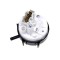 Presostat masina rufe Candy-hoover zerowatt goy-dyn-oz3-vh-fwd-dyn-ckdv