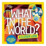 What in the World : a Closer Look